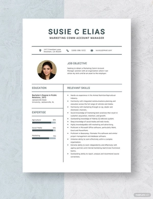 Marketing Comm Account Manager Resume