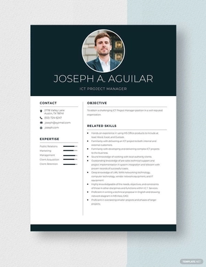 ICT Project Manager Resume