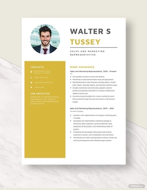 Sales And Marketing Representative Resume