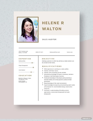 Sales Auditor Resume