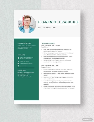Sales Consultant Resume