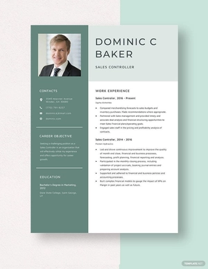 Sales Controller Resume