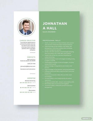 Sales Engineer Resume