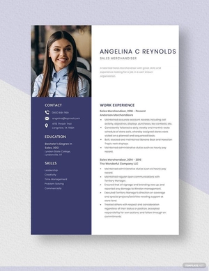 Sales Merchandiser Resume
