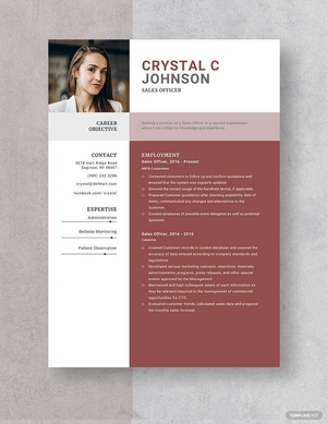 Sales Officer Resume