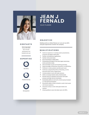 Sales Planner Resume