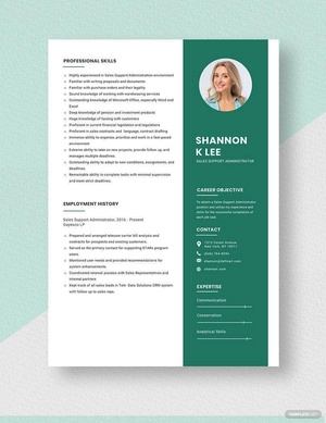 Sales Support Administrator Resume