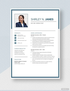 SAP BW Consultant Resume