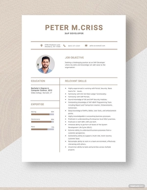 SAP Developer Resume