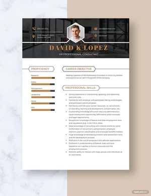 HR Professional Consultant Resume