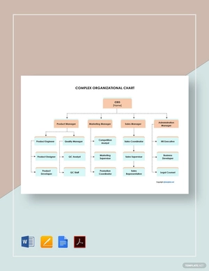 Complex Organizational Chart Template