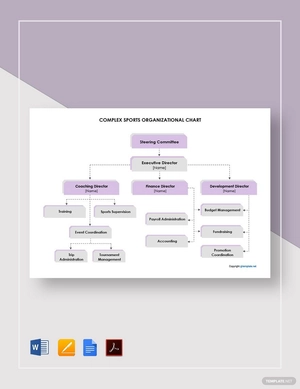 Complex Sports Organizational Chart Template