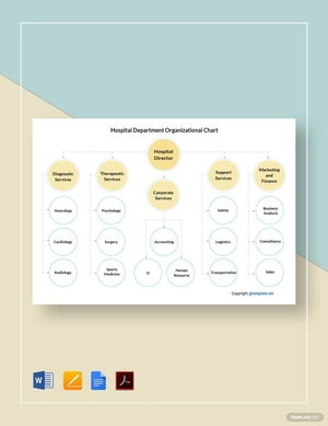 Hospital Department Organizational Chart Template