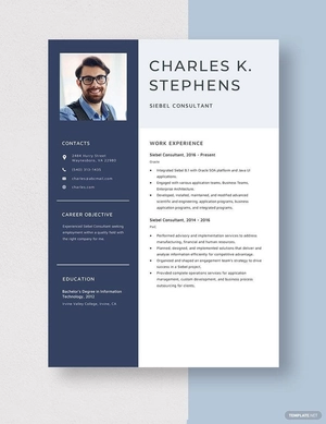 Siebel Consultant Resume
