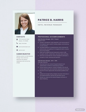 Hotel Revenue Manager Resume