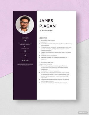 Jr Accountant Resume