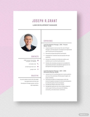 Land Development Manager Resume