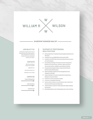 Sharepoint Business Analyst Resume