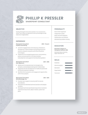 Sharepoint Consultant Resume
