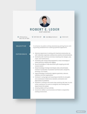 Shop Assistant Resume