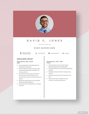 Shop Supervisor Resume