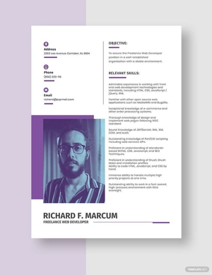 Freelance Web Developer Resume