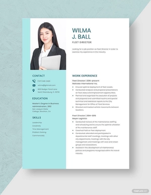 Fleet Director Resume