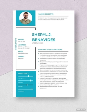 Labor Worker Resume