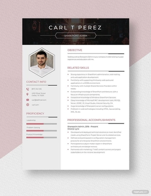 SharePoint Admin Resume