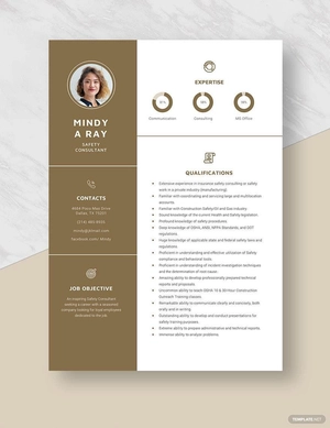 Safety Consultant Resume