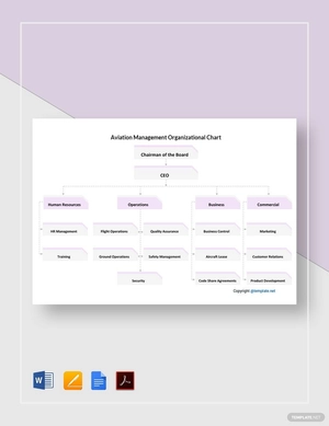 Aviation Management Organizational Chart Template