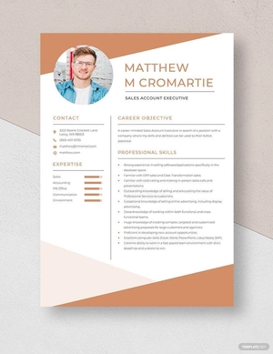 Sales Account Executive Resume