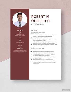 Flex Programmer Resume