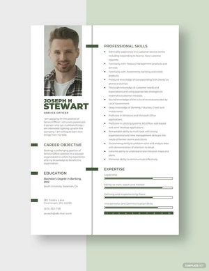 Service Officer Resume