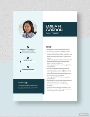 Fly Attendant Resume
