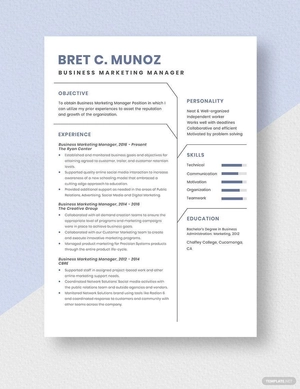 Business Marketing Manager Resume