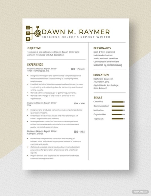 Business Objects Report Writer Resume