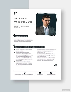 Service Desk Team Leader Resume