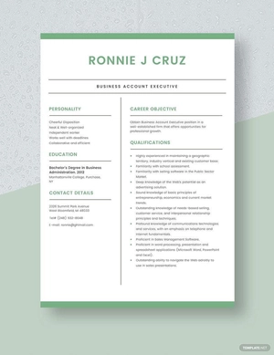 Business Account Executive Resume