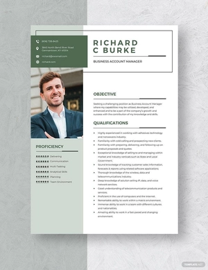 Business Account Manager Resume