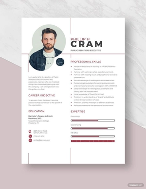 Public Relations Executive Resume