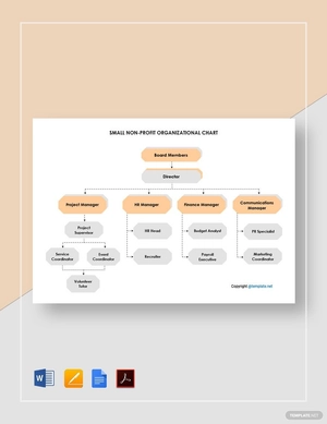 Small Non Profit Organizational Chart Template