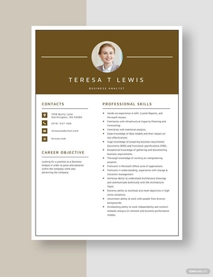 Business Analyst Resume