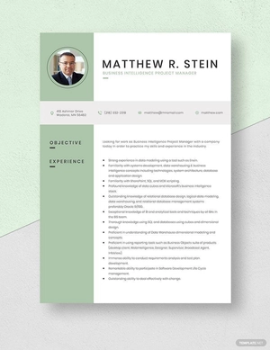 Business Intelligence Project Manager Resume