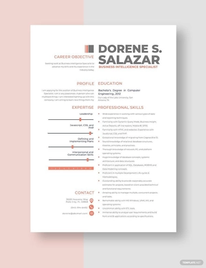 Business Intelligence Specialist Resume