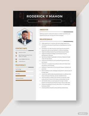 Business Advisor Resume