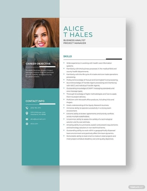 Business Analyst Project Manager Resume