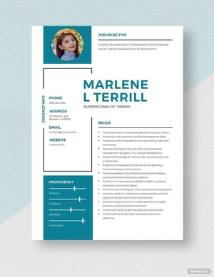 Business Analyst Trainee Resume