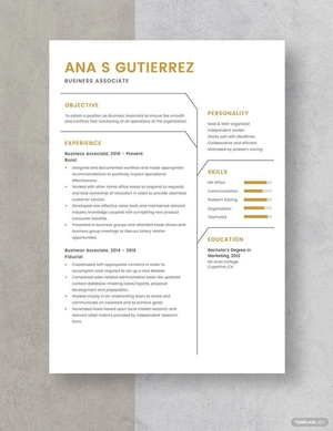 Business Associate Resume