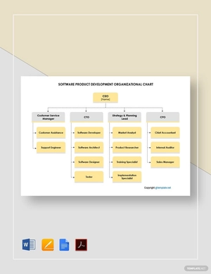 Software Product Development Organizational Chart Template